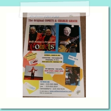 Pioneers of Rock Show 2011 poster